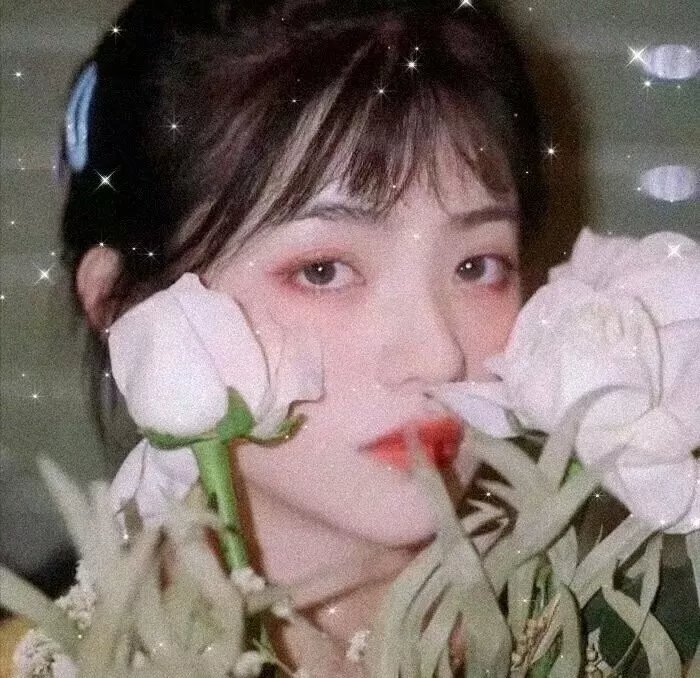 恋爱指南我指北